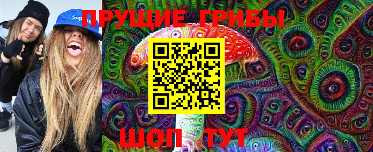 Новосибирск  Галлюциногенные грибы Psilocybine cubensis  Вход с VPN 