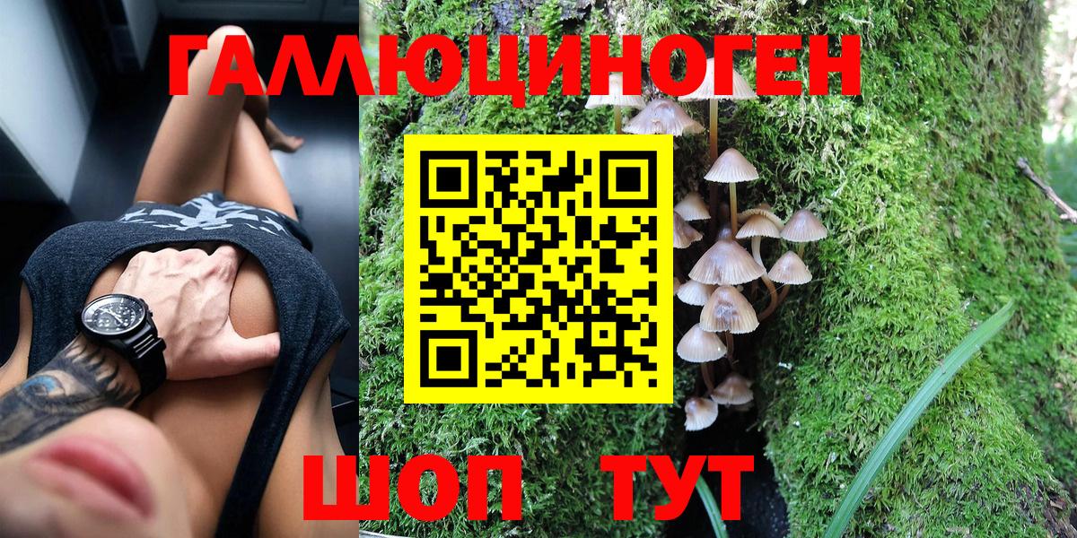 Галлюциногенные грибы прущие грибы Новосибирск